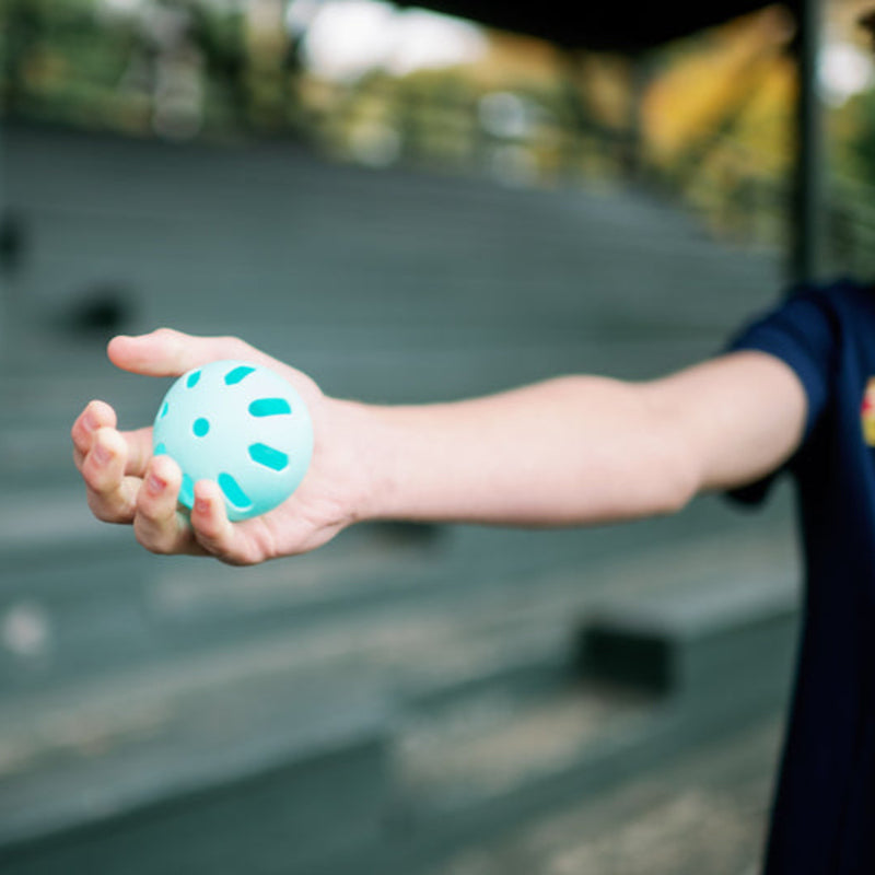 202 Balls Bandit Sports Plate Crate