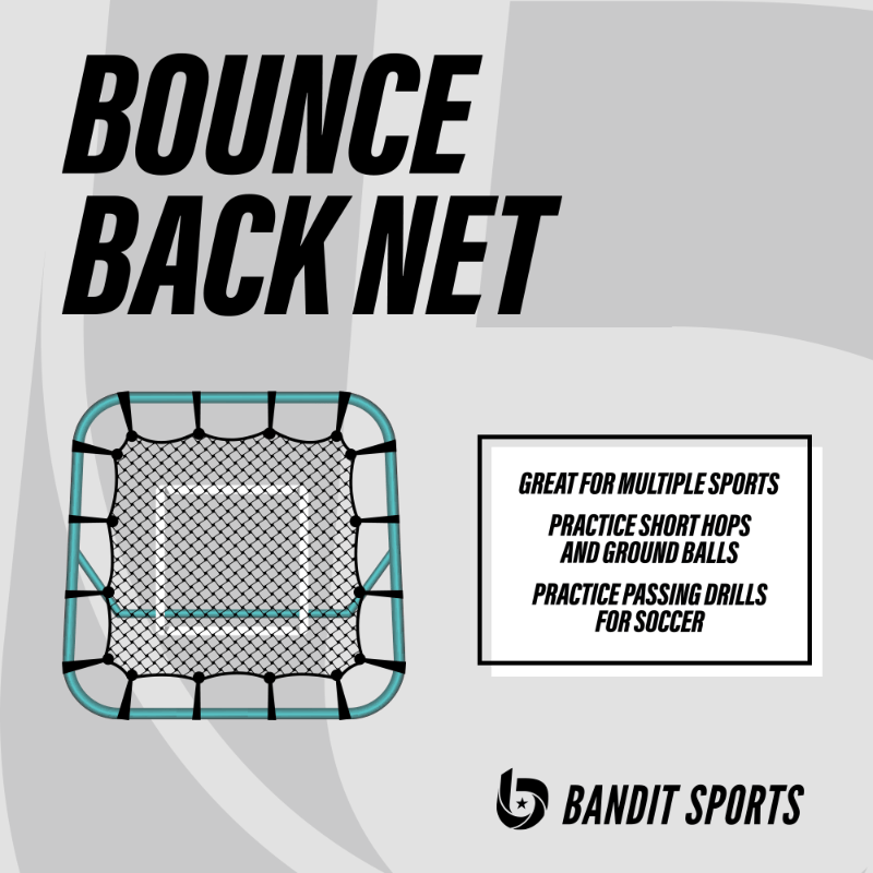 Plate Crate Bounce Back Net Bandit Sports