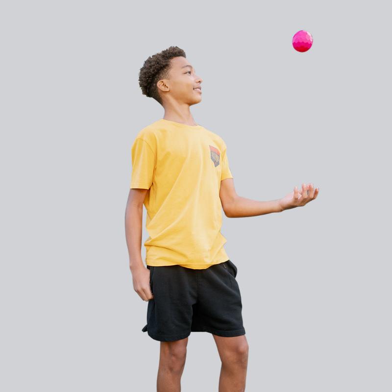 Pink Single Gravity Ball Bandit Sports Plate Crate Pink Single Gravity Ball Bandit Sports Plate Crate