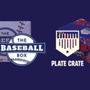 The Baseball Box vs Plate Crate: Picking the Right Box