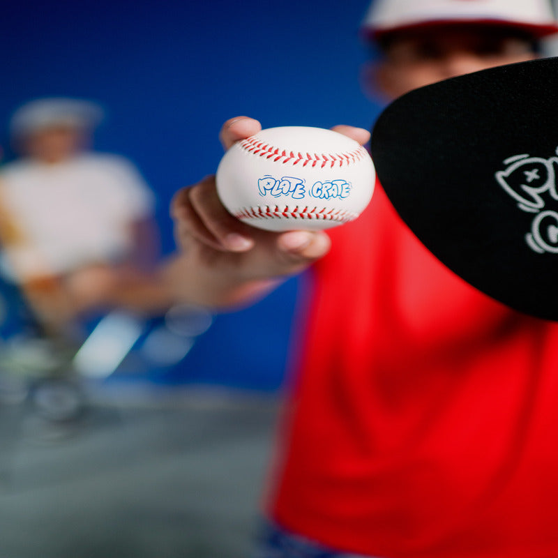 Back 2 School React Baseball Plate Crate Bandit Sports