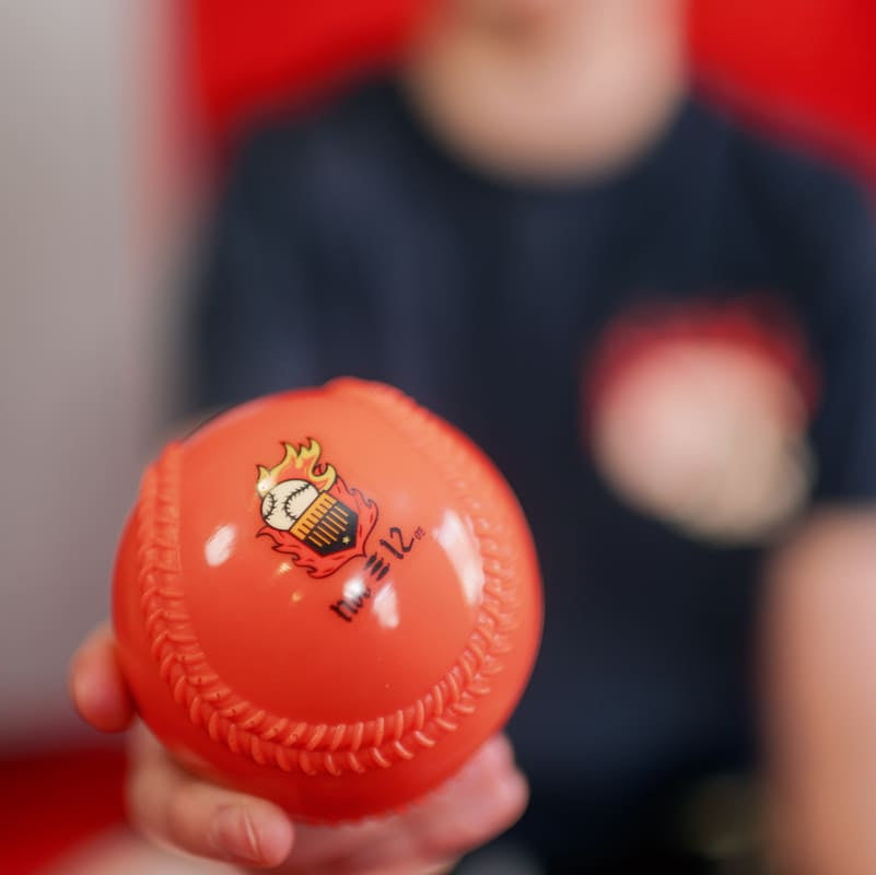 En Fuego Weighted Balls Plate Crate Bandit Sports