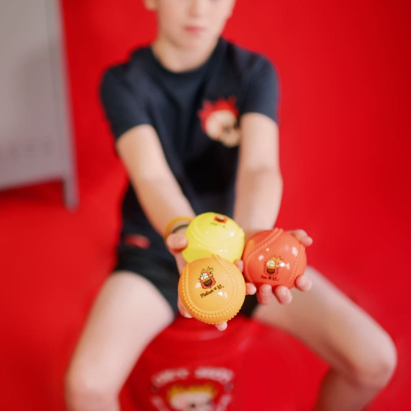 En Fuego Weighted Balls Plate Crate Bandit Sports