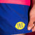 Blurple Lemonade Shorts