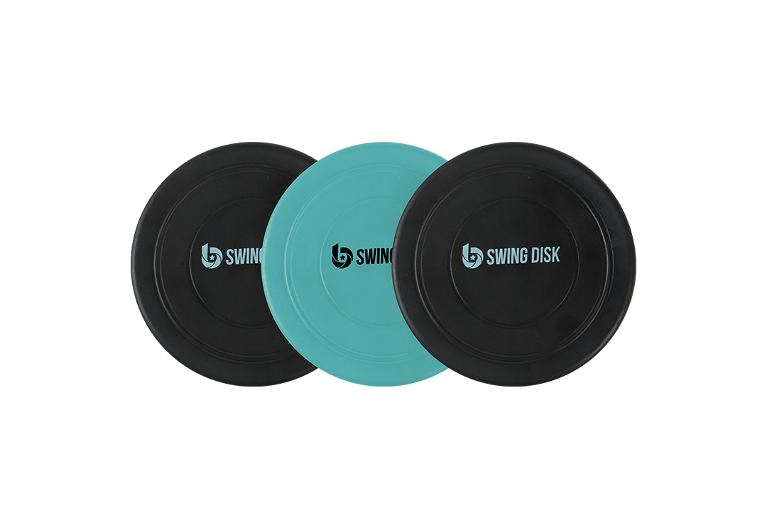 Bandit sports swing disks