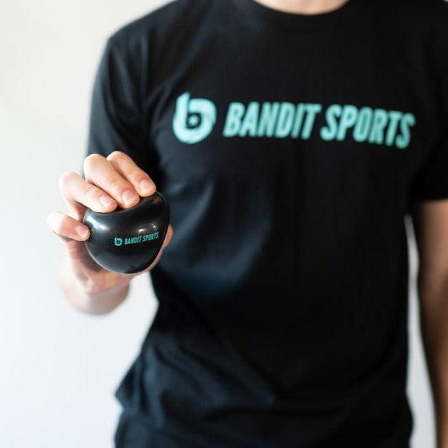 bandit sports, training aid