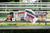 Pregame Donuts Crate with T-shirt, Churro Ballpark Seeds, Adjustable Bat Weight, Sprinkle Bat Grip, Topps Sample Pack, Pregame Donut T-shirt, and Donut Sticker