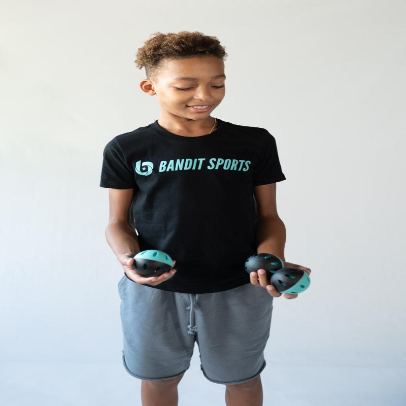Impact Balls Bandit Sports Plate Crate